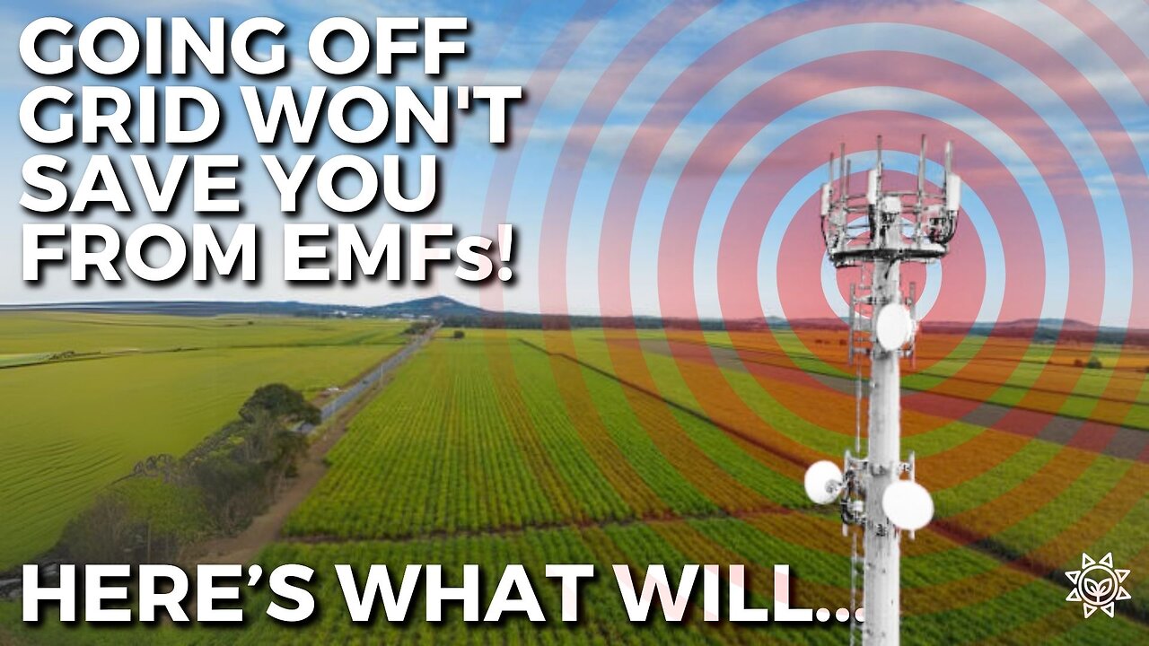 Going Off-Grid WON’T Save You From EMFs! Here’s What Will...