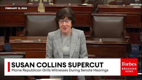 Susan Collins Backs Bipartisan Solutions, Grills Witnesses | 2024 Rewind