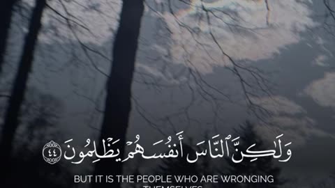 Jazakallah ♥️✨🕊️