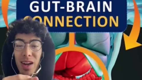 THE GUT BRAIN CONNECTION