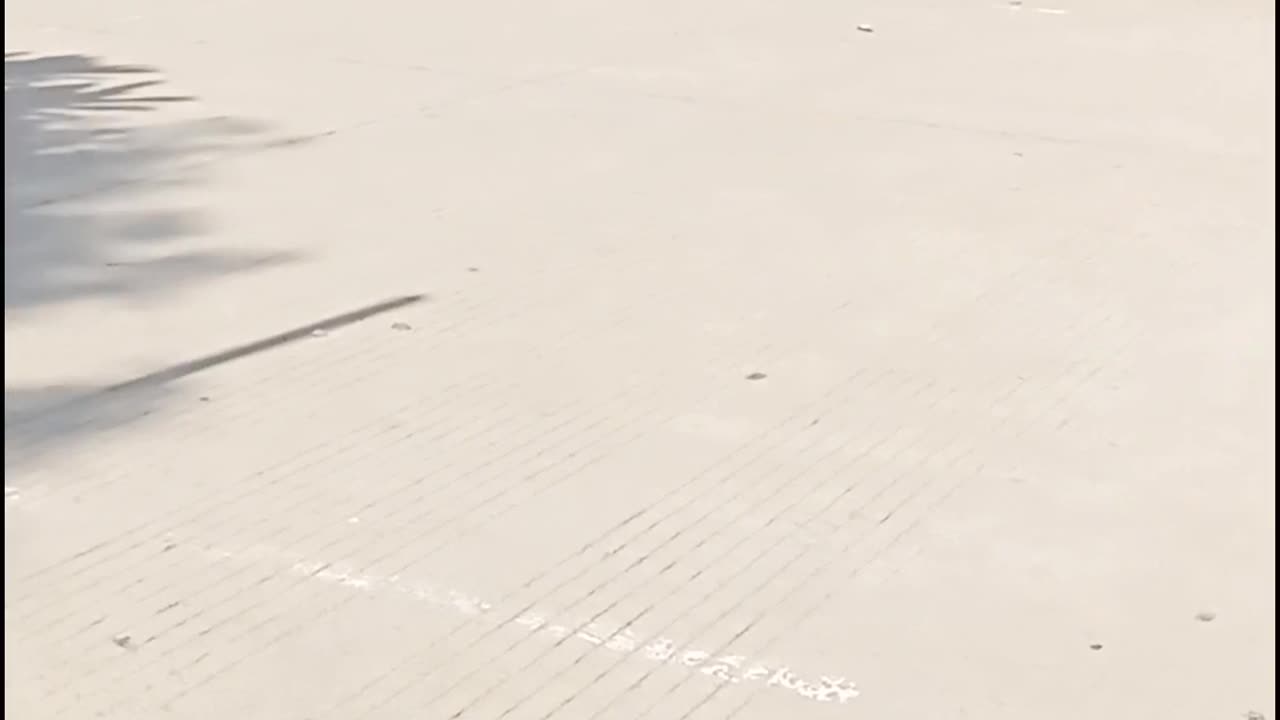 Body bend practice in skating | Skating | #shorts #skating #rumble #Skating #Harshalidhankhola