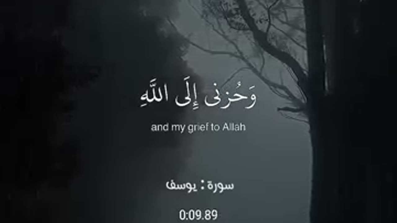 *Reciter Sheikh Islam Sobhi