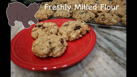 Oatmeal Cookies made from whole wheat flour