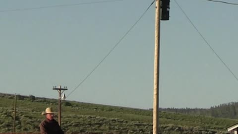 Make sure you have them mentally at every moment.