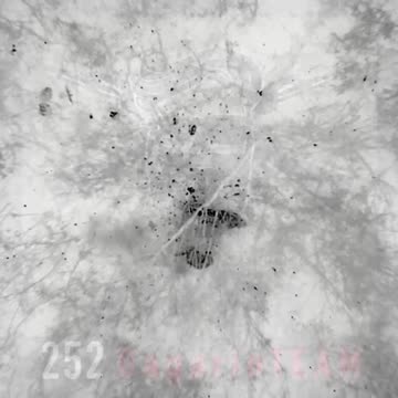 I don't like the Drone War