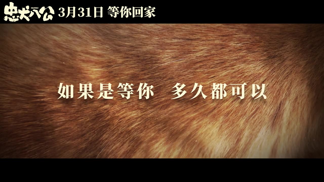 HACHIKO TRAILER