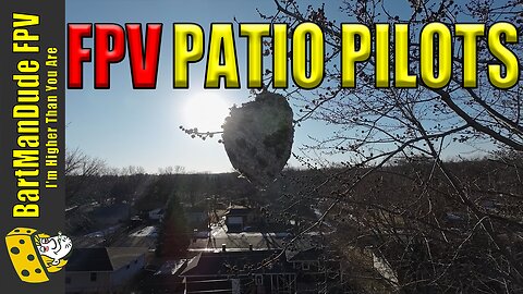 FPV - January in Minnesota - A big Hornet Nest