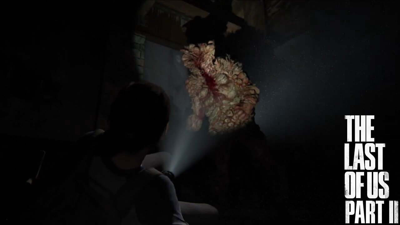 "On That Day 2 Years Ago" The Last of Us 2 (8)