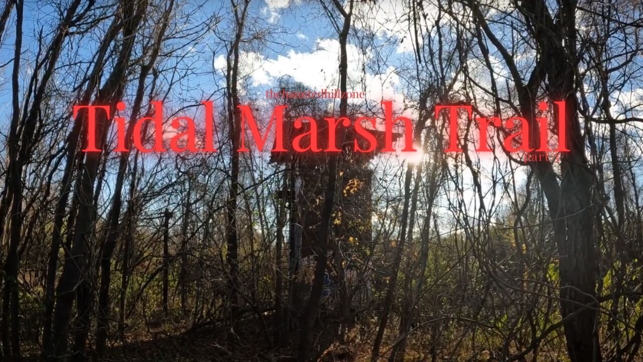 Tidal Marsh Trail: Part 3