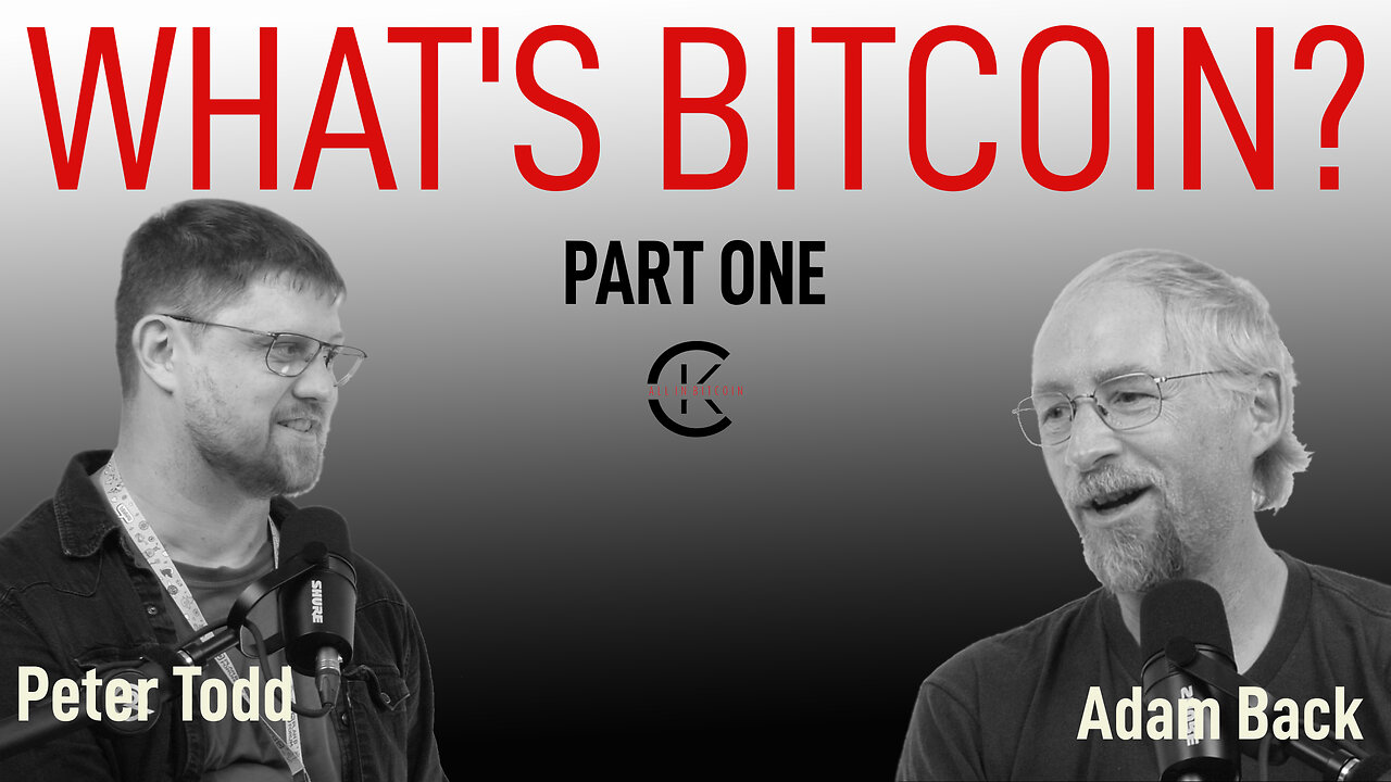 001 Episode WHAT'S BITCOIN Part 1 with Adam Back & Peter Todd