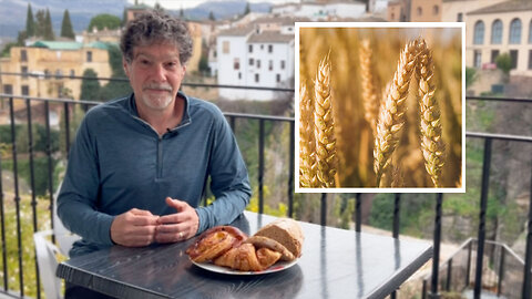 Is Bret allergic to European wheat? Part II