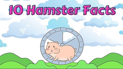 10 Hamster Facts for Kids