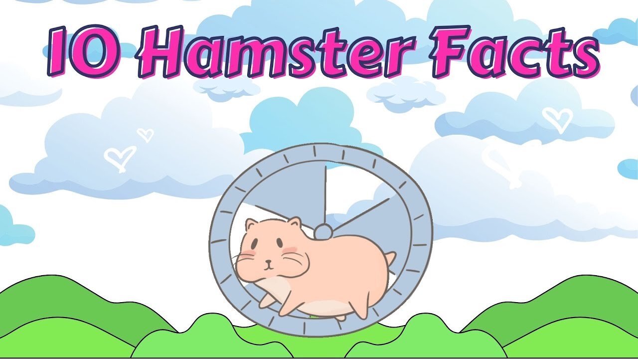 10 Hamster Facts for Kids