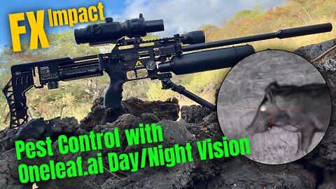 Pest Control - PCP Airgun with Night Vision