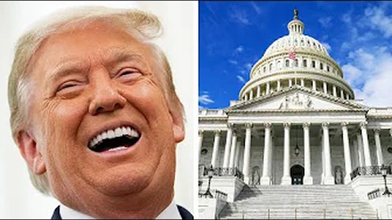 Democrats are doing something ... I Guess?
