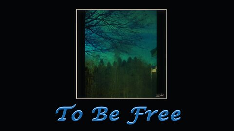 Episode11: To Be Free