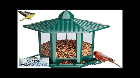 Birdream Bird Feeders for Outdoor Hanging Pagoda Design Fun Installatio 2.5 LB Review