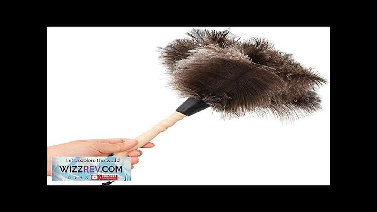 Small Feather Duster Ostrich Feather Duster 14 Inch Fluffy Reusable Eco-Friendly Natural Review