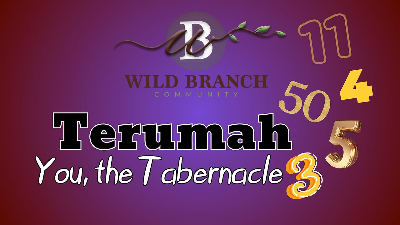 Terumah - You, the Tabernacle