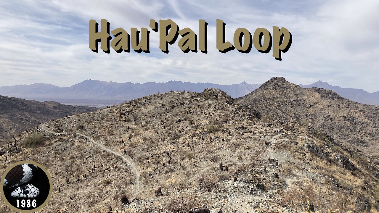 Hiking Hau'Pal Loop, South Mountain