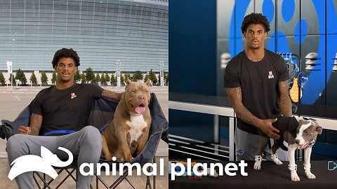 Keon Coleman Hangs With Rescue Puppies For Puppy Bowl XXI! Puppy Bowl An