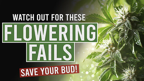 5 Major Flowering Fails You MUST Fix for a Better Harvest!