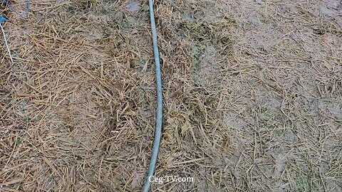 Graham Family Farm: 4:00 PM January 5th 2025