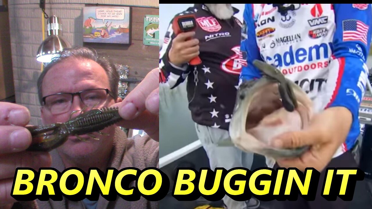 BRONCO BUG AND SHOUT OUT
