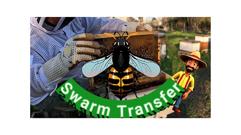 Swarm Transfer