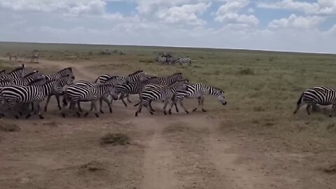 Tanzania: Donde la Naturaleza y el Paraíso se Encuentran