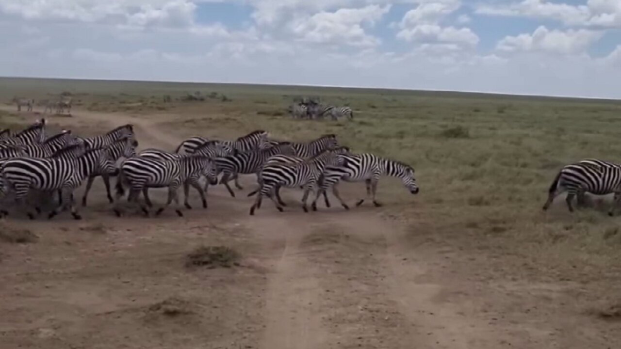 Tanzania: Donde la Naturaleza y el Paraíso se Encuentran