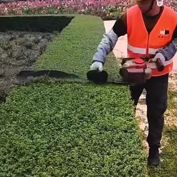 Want to see how to be a top notch gardener.hd