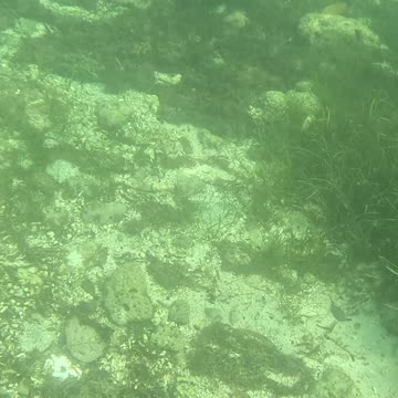 Any Day Snorkeling Is A Good Day!!