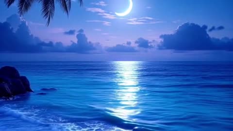 Sunny & Starry