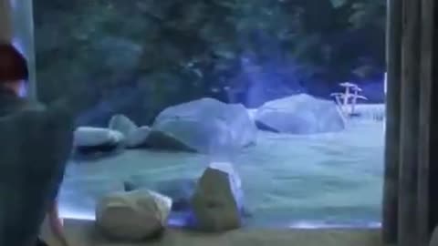 Harry Potter & The Broken Portals #hogwartslegacy