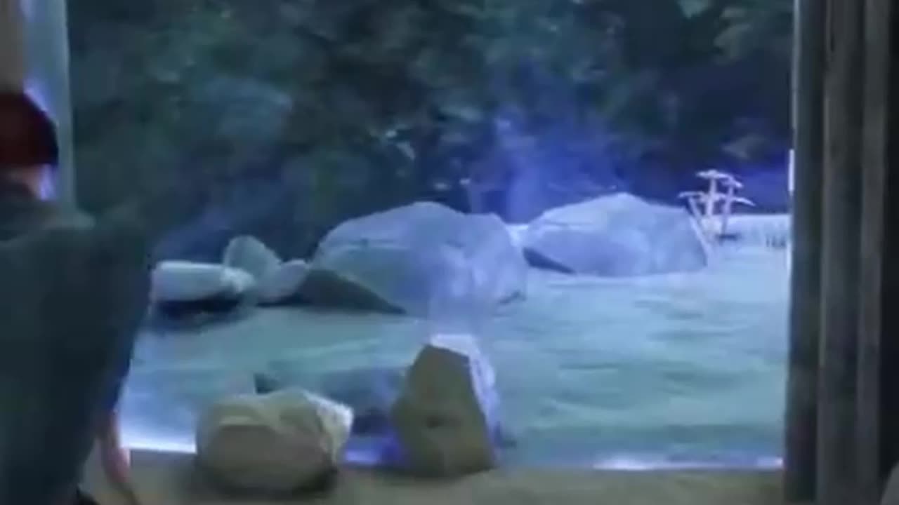 Harry Potter & The Broken Portals #hogwartslegacy