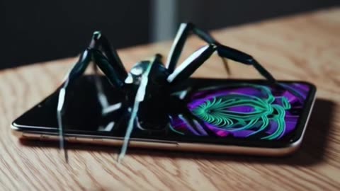 Cyber Arachnid