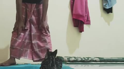 Funny Cat Video 50 - cat waiting for his master to pray