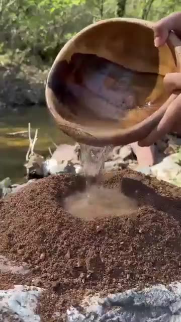 cooking fish in nature