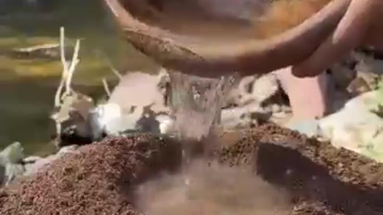 cooking fish in nature