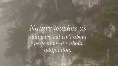 #Nature teaches us that survival isn’t about perfection—it’s about adaptation #naturetherapy