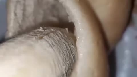 sexuy