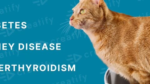 Smart Litterbox Health Monitoring System for Cat Health