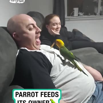 Parrot feeds chips to man 14 Billion views on this video Viral clip