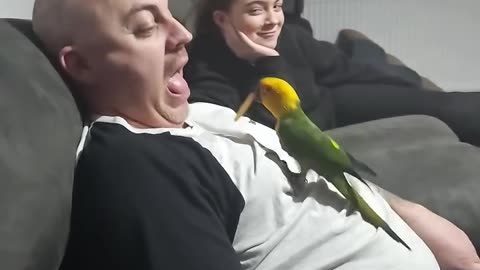 Parrot feeds chips to man 14 Billion views on this video Viral clip