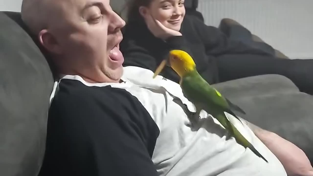 Parrot feeds chips to man 14 Billion views on this video Viral clip