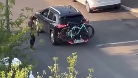 African migrant causing havoc in POLAND
