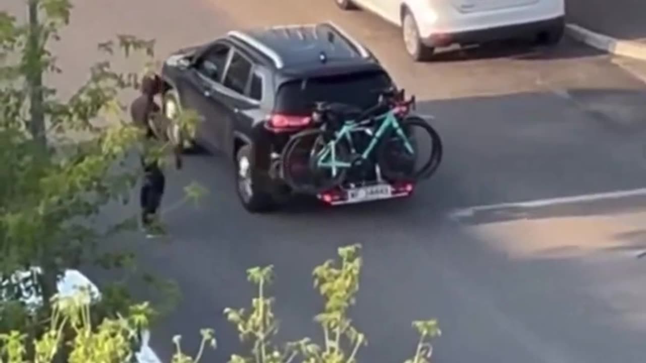 African migrant causing havoc in POLAND