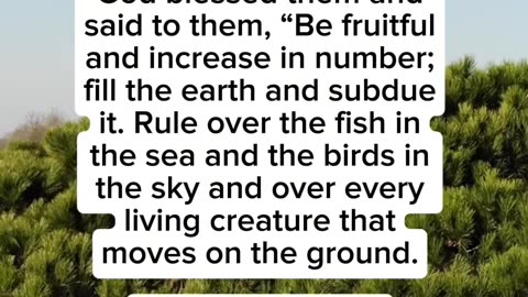 Genesis 1:28 | Daily Bible Verse