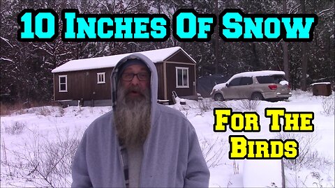 10 Inches OF SNOW | For The BIRDS | Arkansas homestead chickens winter storm